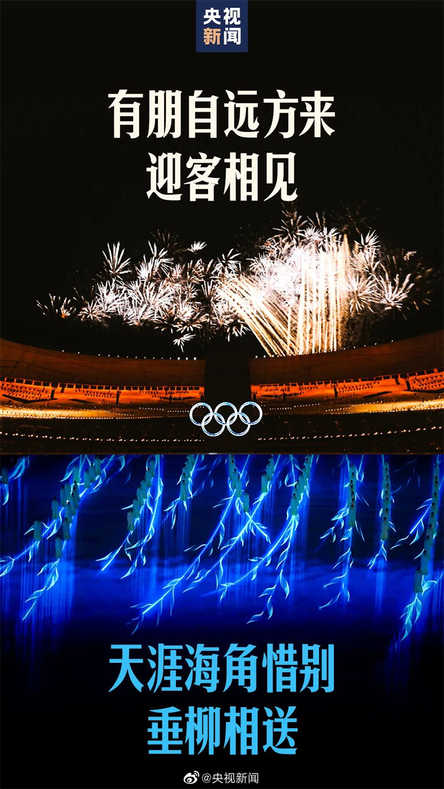 7 垂柳.jpg