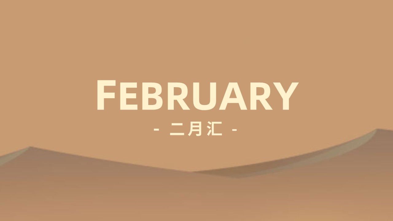 沙丘汇 · 2 月