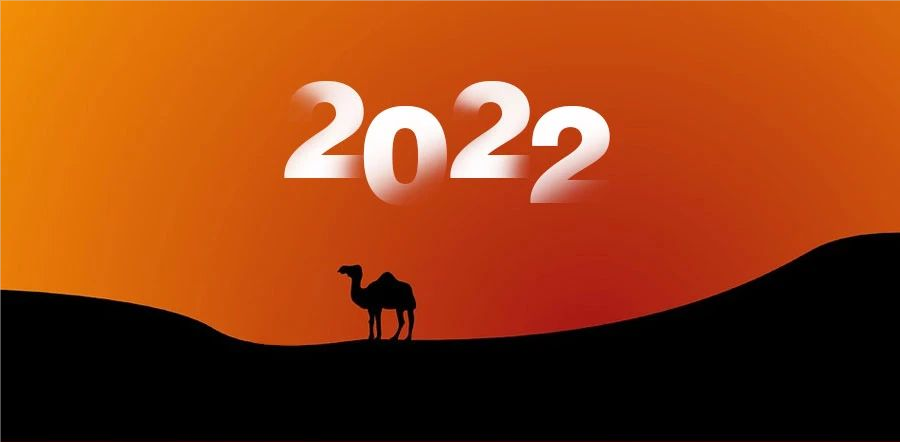 在变化中进化，我们的 2022 这样走过 | 沙丘投研院年终盘点