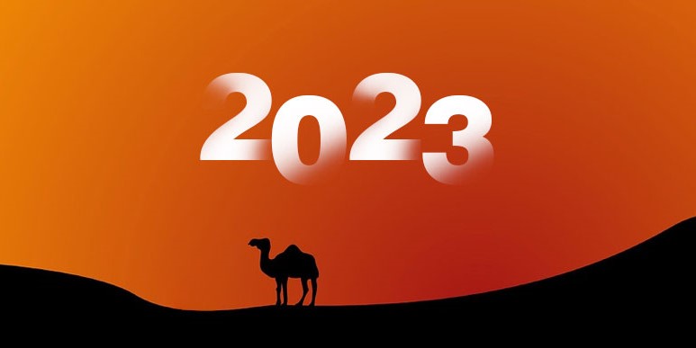 在不断的挑战中成长壮大起来 | 沙丘 2023 年终盘点